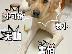 -Olé精品超市(广州太古汇店)