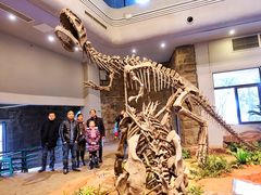 -自贡恐龙博物馆