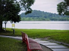 -西山漾湿地公园