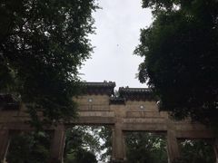 -灵谷景区