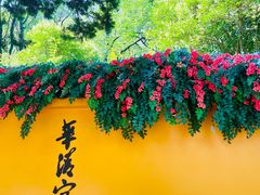 -华清宫景区