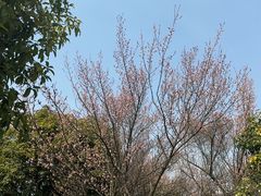-南京珍珠泉风景区