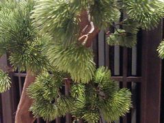 -见康道莱•足浴按摩•艾灸•SPA(友谊店)