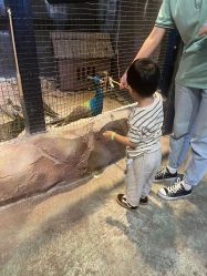 -酷嗒动物文化乐园(cutezoo西溪乐天城店)