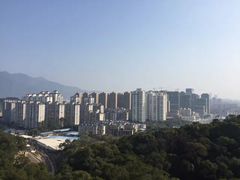 -金鸡山公园