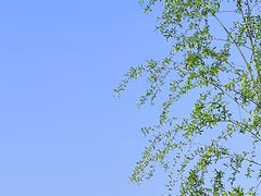 -西山风景区