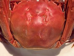 iphone_upload_pic-俏江南-江景昆曲主题餐厅(正大广场店)