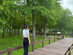 -梁鸿国家湿地公园