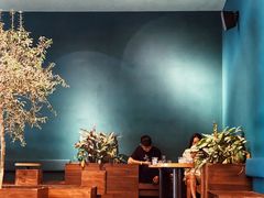 -Seesaw Coffee(深圳万象天地店)