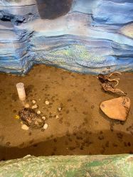 -酷嗒动物文化乐园(cutezoo西溪乐天城店)