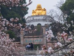-苏州上方山国家森林公园