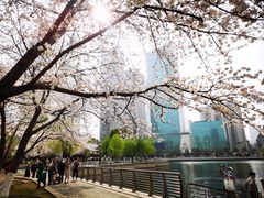 -西北湖绿化广场