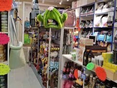 -北京观赏动物医院·24小时大型综合·猫专科·异宠专科