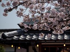 -清凉寺