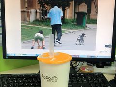 -CoCo都可(健翔桥店)