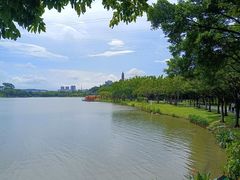 -顺峰山公园