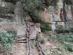 -铁山坪森林公园