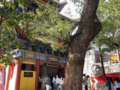 -宝通禅寺