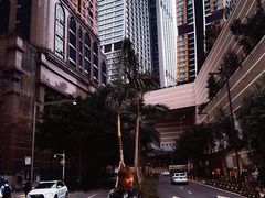 -一只酸奶牛(八一路店)