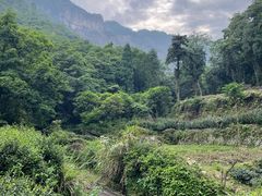 -雁荡山风景名胜区