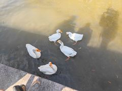 -杭州师范大学(下沙校区)