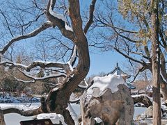 -莲池书院博物馆