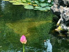 -东山雕花楼