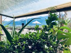 -翠田Green Field Kitchen