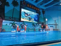 -石家庄极地海洋世界