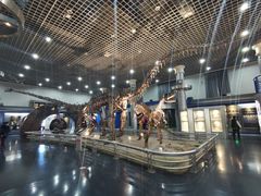 -国家自然博物馆