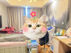 -湖畔阳光月子中心(泰达会馆店)