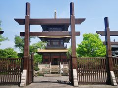 -广富林郊野公园