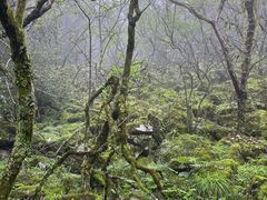 -永州阳明山国家森林公园