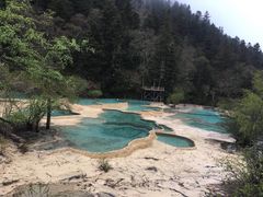 -黄龙山原始森林景区