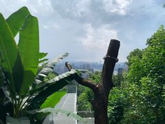 -南山植物园