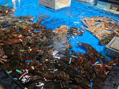 水产区-盒马鲜生(馥邦国际店)