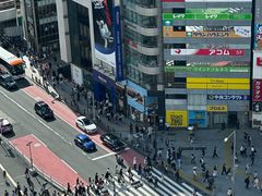 -涩谷区