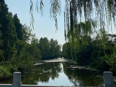 -溱湖国家湿地公园