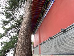 -终南山南五台景区