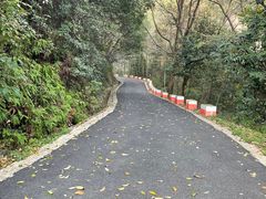 -午潮山国家森林公园