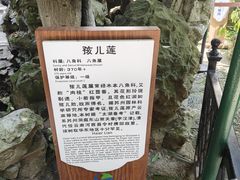 -东山雕花楼