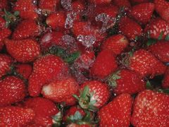 -水果地带(天顺路店)