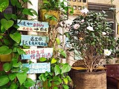 -赤坎老街