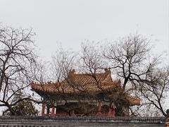 -雍和宫