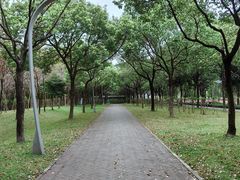 -一坐一忘云南菜(卓悦中心)