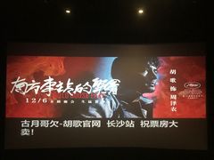 -万达影城(开福万达广场IMAX店)
