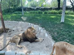 -北京野生动物园