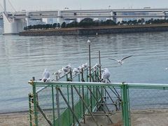-台场海滨公园船码头