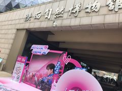 -陕西自然博物馆