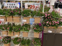 -永旺梦乐城(武汉金桥店)